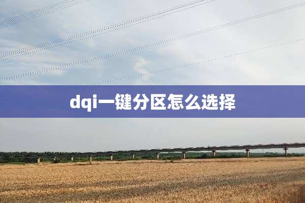 dqi一键分区怎么选择