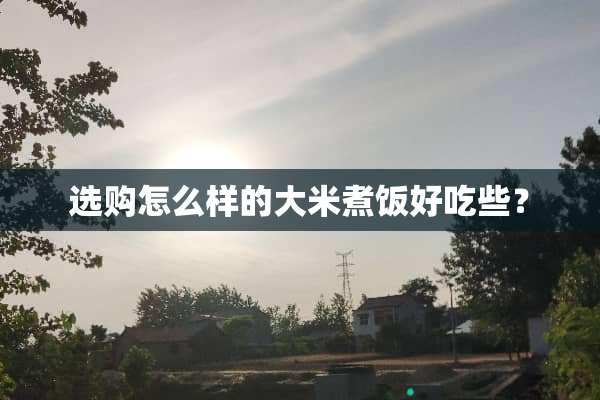 选购怎么样的大米煮饭好吃些？