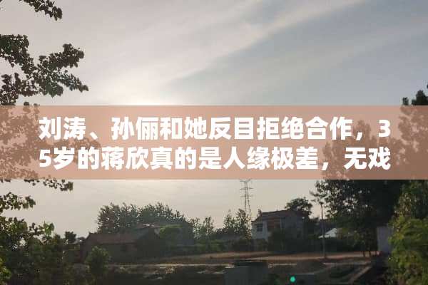 刘涛、孙俪和她反目拒绝合作，35岁的蒋欣真的是人缘极差，无戏可拍吗？