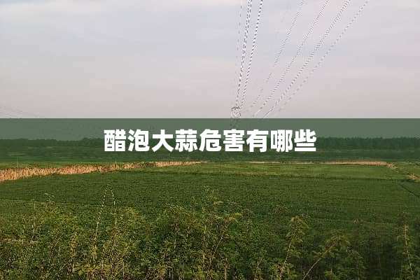 醋泡大蒜危害有哪些