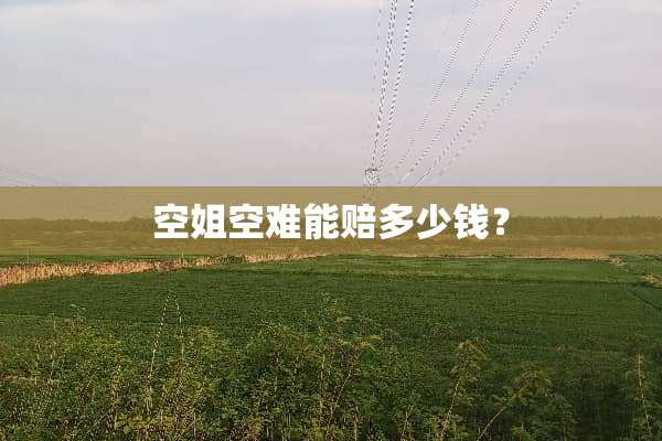 空姐**能赔多少钱？
