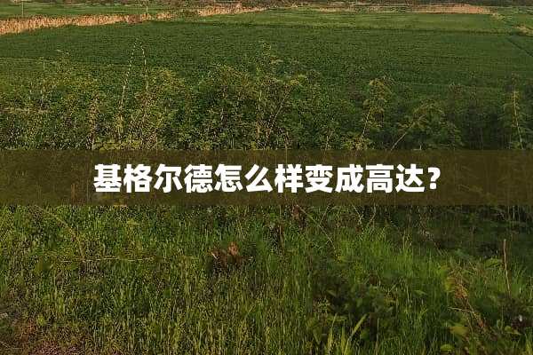 基格尔德怎么样变成高达？