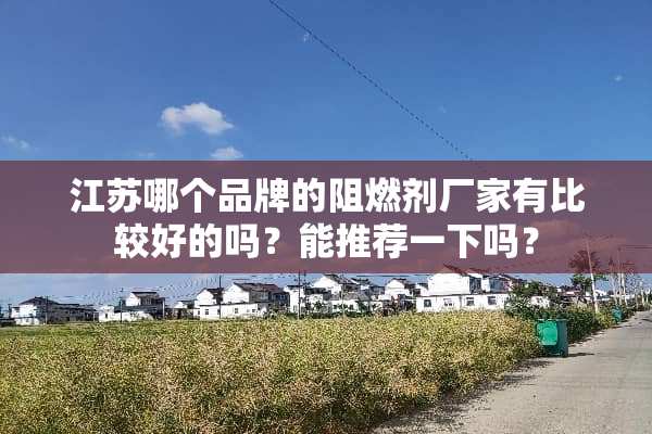 江苏哪个品牌的阻燃剂厂家有比较好的吗？能推荐一下吗？