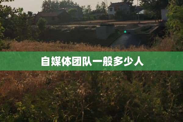 自媒体团队一般多少人