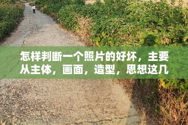 怎样判断一个照片的好坏，主要从主体，画面，造型，思想这几个方面回答？