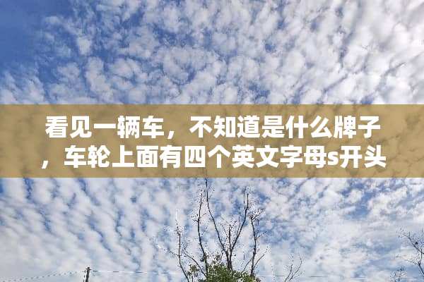 看见一辆车，不知道是什么牌子，车轮上面有四个英文字母s开头的，标志好像两个翅膀。