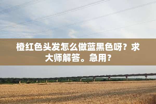 橙红色头发怎么做蓝黑色呀？求大师解答。急用？