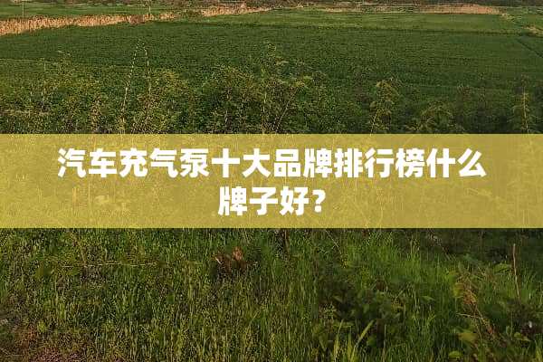 汽车充气泵十大品牌排行榜什么牌子好？