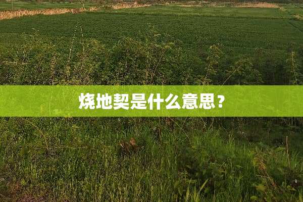 烧地契是什么意思？