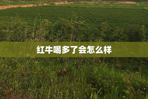 红牛喝多了会怎么样