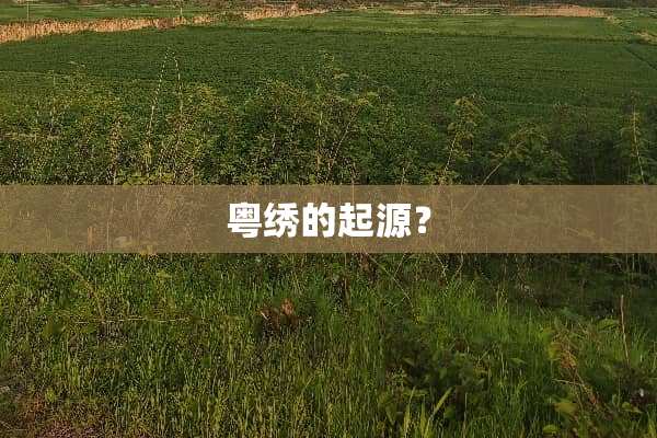 粤绣的起源？