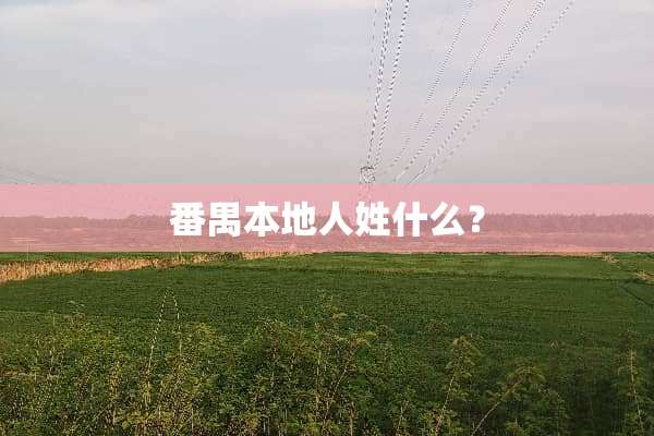 番禺本地人姓什么？