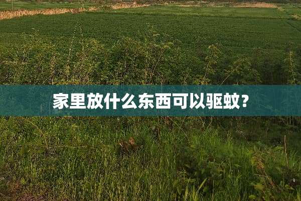 家里放什么东西可以驱蚊？