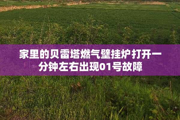 家里的贝雷塔燃气壁挂炉打开一分钟左右出现01号故障