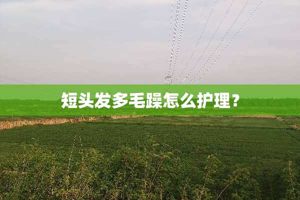 短头发多毛躁怎么护理？