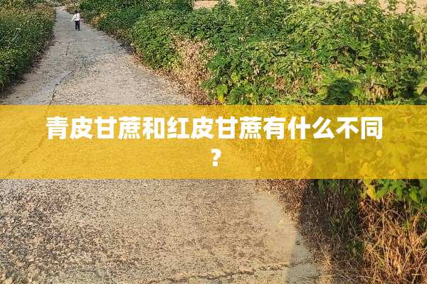 青皮甘蔗和红皮甘蔗有什么不同？