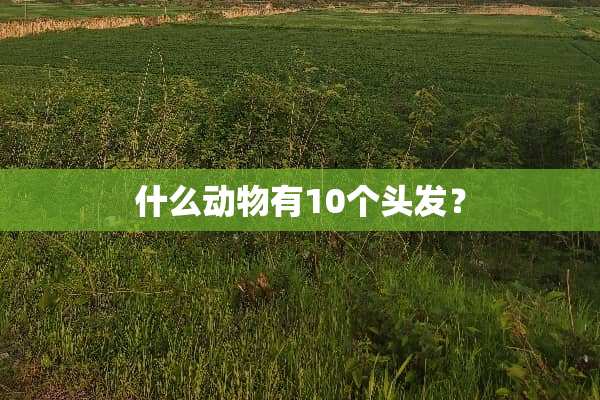 什么动物有10个头发？