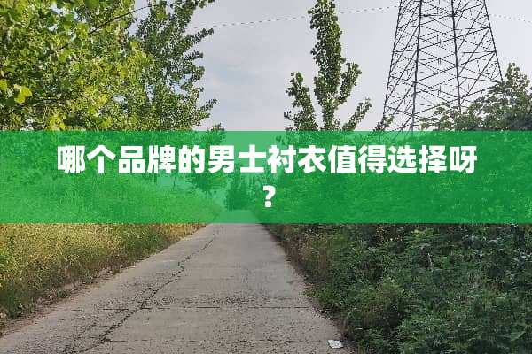 哪个品牌的男士衬衣值得选择呀？