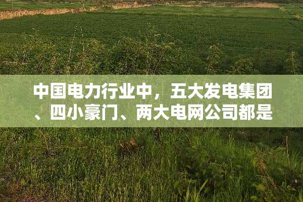 中国电力行业中，五大发电集团、四小豪门、两大电网公司都是哪些企业？