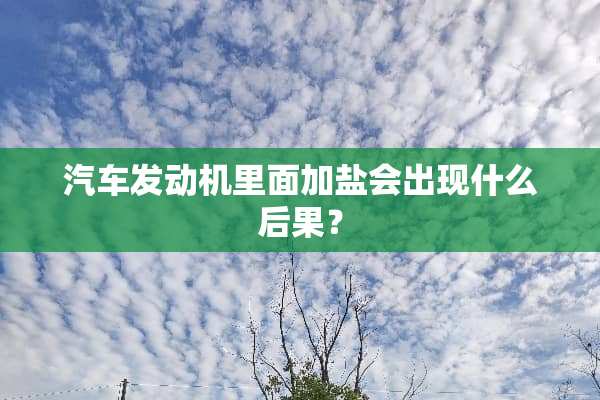 汽车发动机里面加盐会出现什么后果？