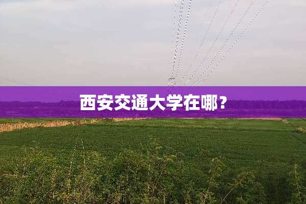 西安交通大学在哪？