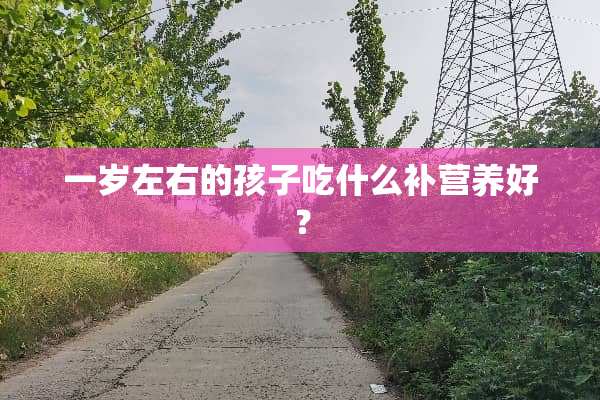 一岁左右的孩子吃什么补营养好？