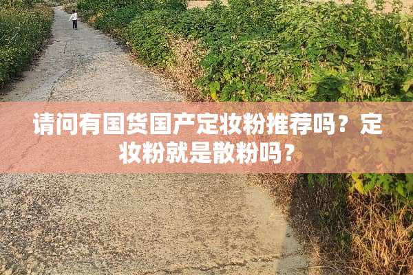 请问有国货国产定妆粉推荐吗？定妆粉就是散粉吗？