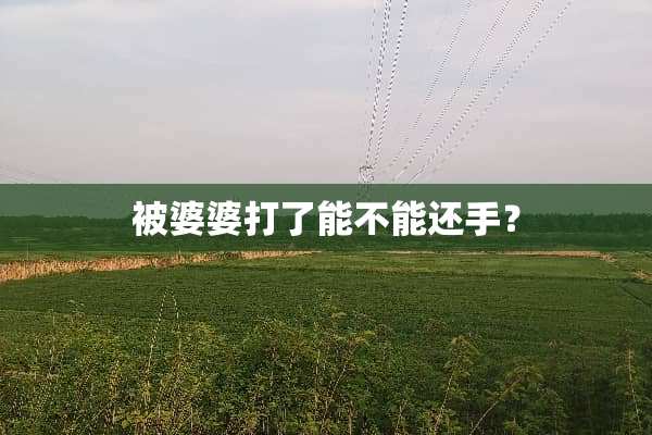 被婆婆打了能不能还手？