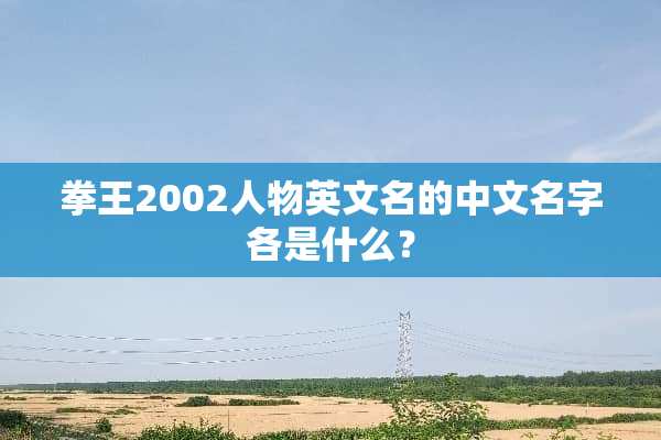 拳王2002人物英文名的中文名字各是什么？