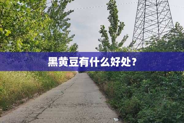 黑黄豆有什么好处？