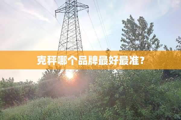 克秤哪个品牌最好最准？