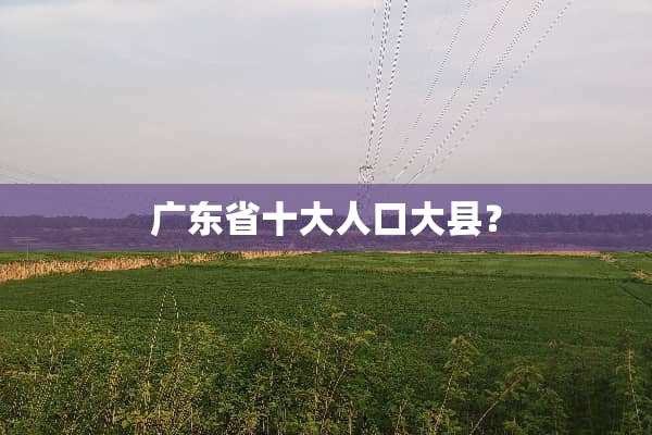 广东省十大人口大县？