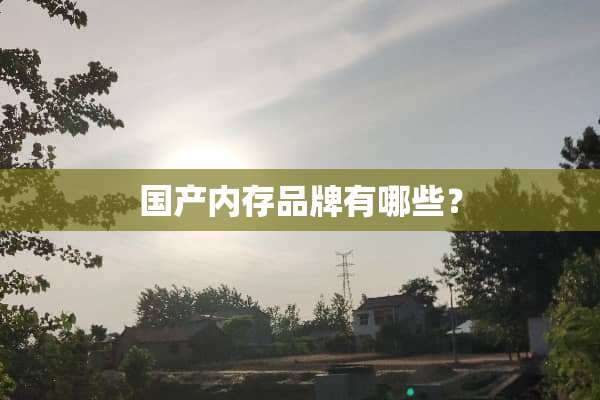 国产内存品牌有哪些？