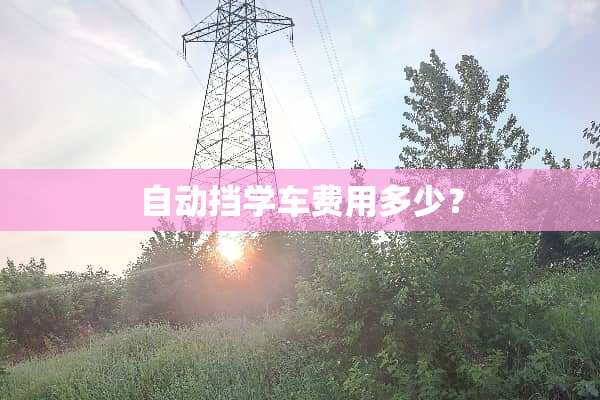 自动挡学车费用多少？