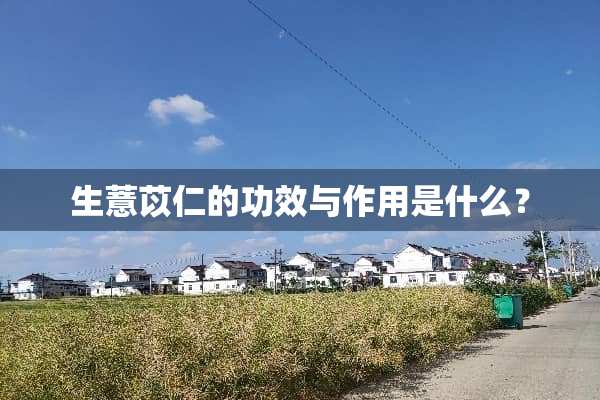 生薏苡仁的功效与作用是什么？