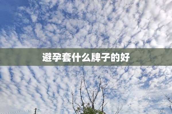 ***什么牌子的好