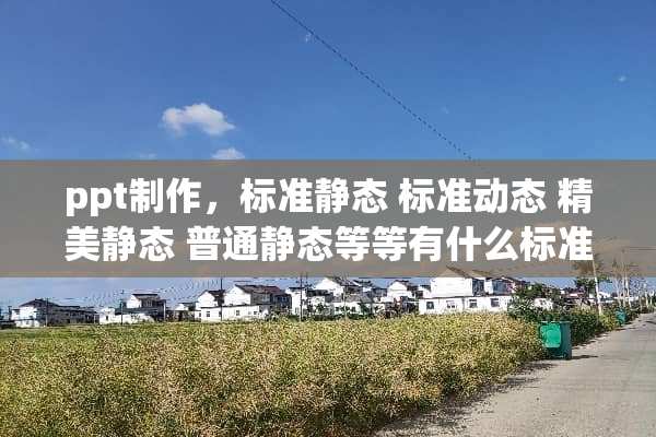 ppt制作，标准静态 标准动态 精美静态 普通静态等等有什么标准么
