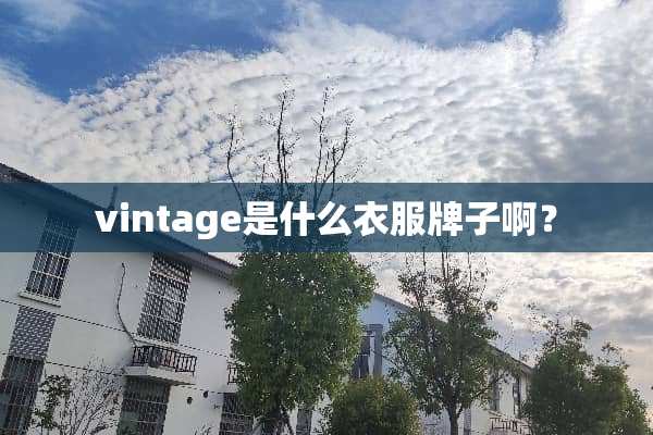 vintage是什么衣服牌子啊？