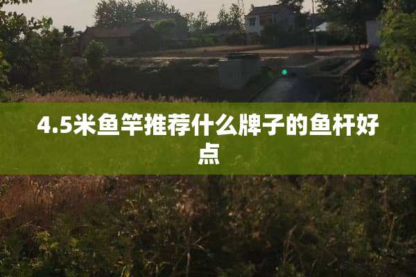 4.5米鱼竿推荐什么牌子的鱼杆好点