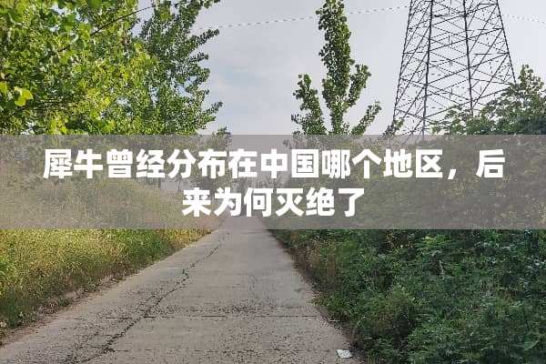 犀牛曾经分布在中国哪个地区，后来为何灭绝了