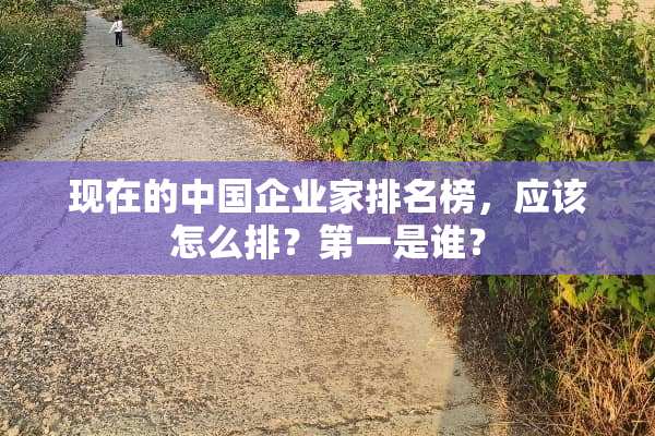 现在的中国***排名榜，应该怎么排？第一是谁？