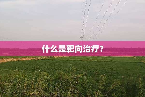 什么是靶向治疗？