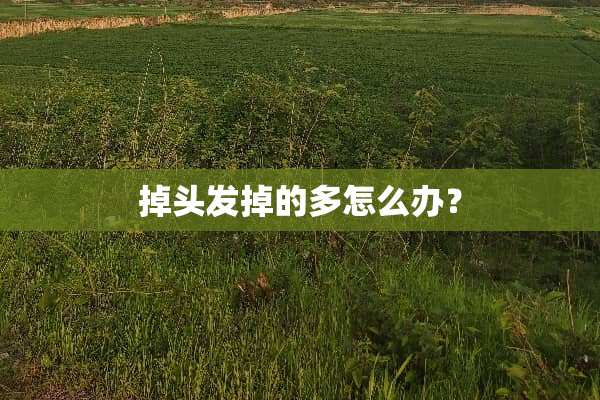 掉头发掉的多怎么办？
