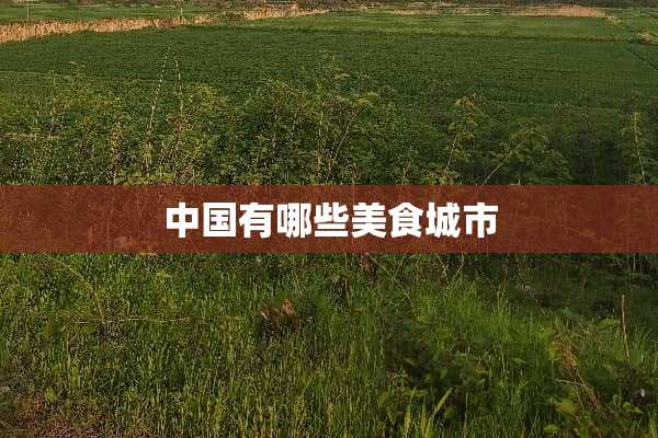 中国有哪些美食城市