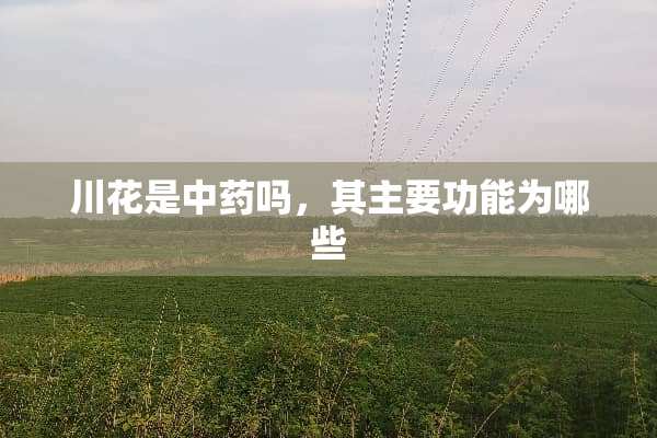川花是中药吗，其主要功能为哪些
