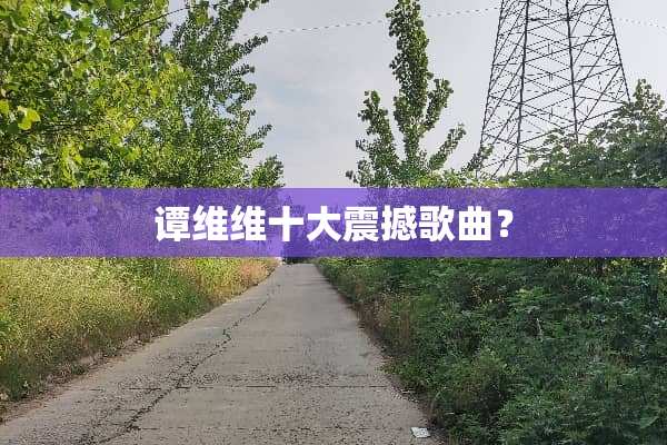 谭维维十大震撼歌曲？
