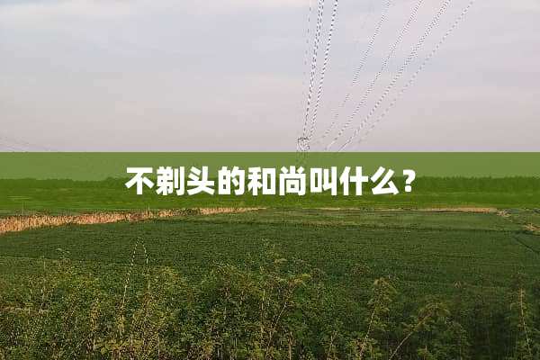 不剃头的和尚叫什么？