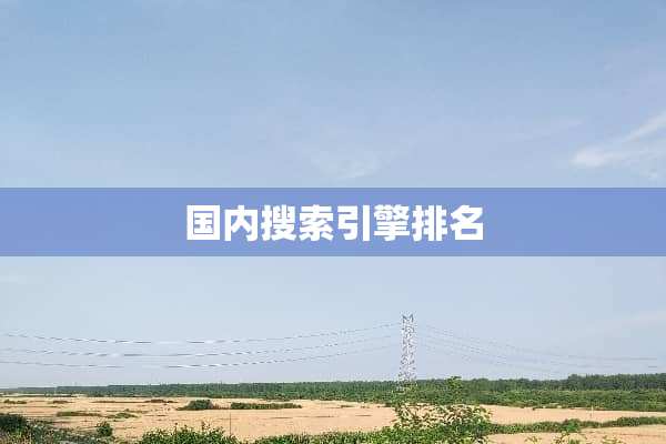 国内搜索引擎排名