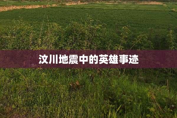汶川地震中的英雄事迹