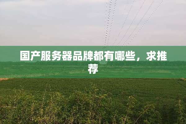 国产服务器品牌都有哪些，求推荐